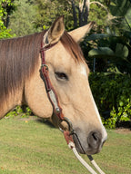 Custom Bridles