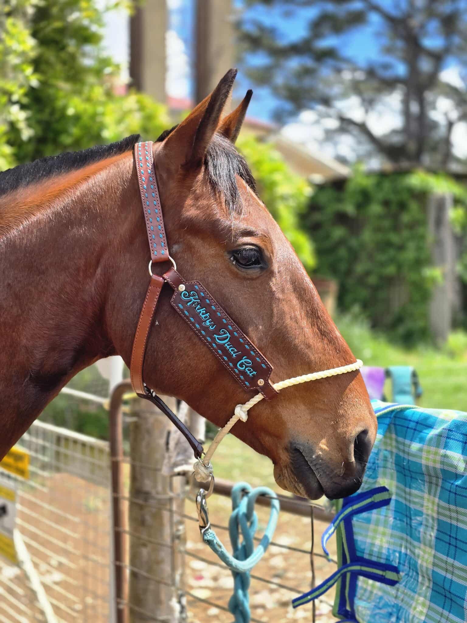 Custom Hybrid Halter