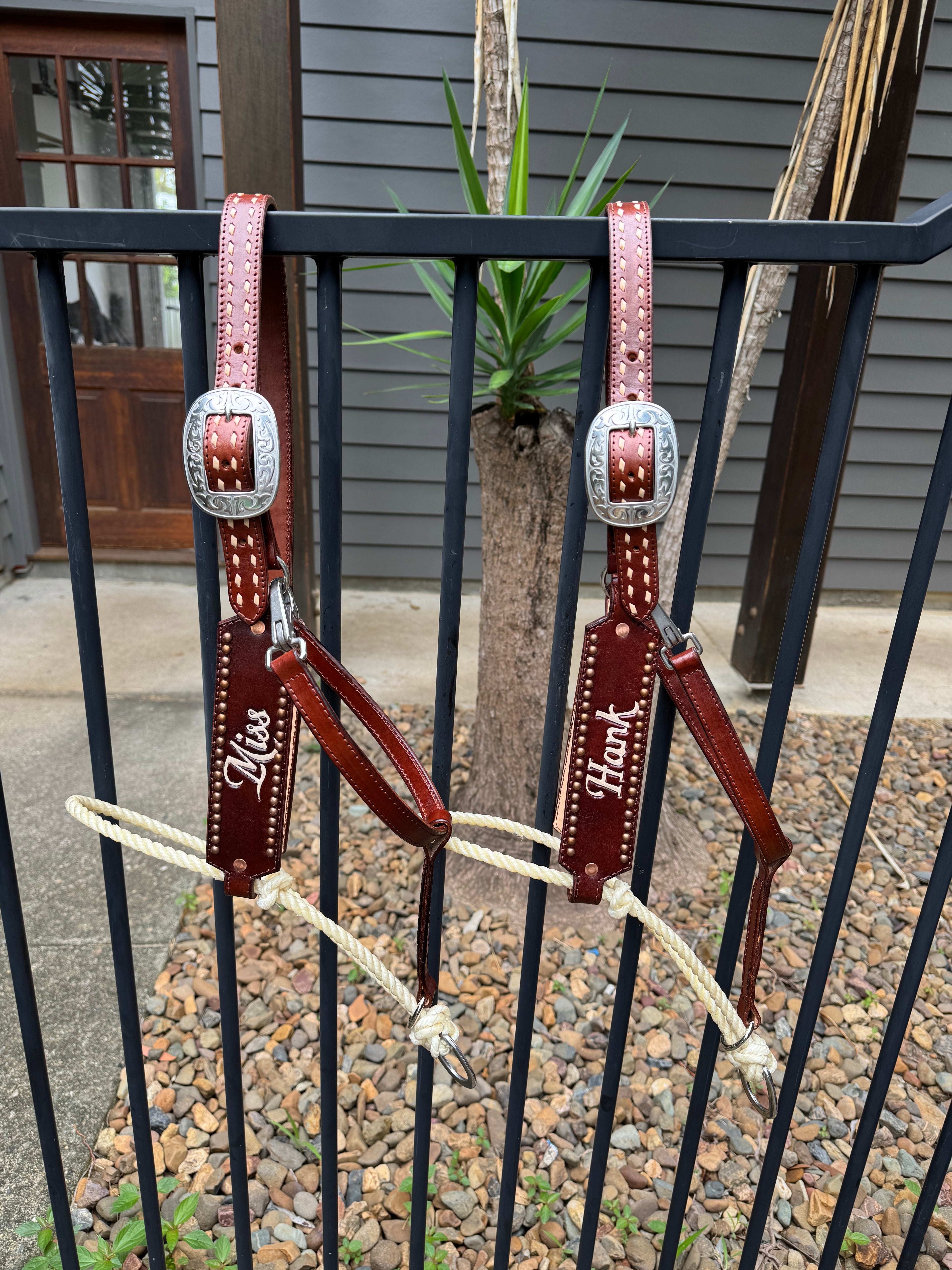 Custom Hybrid Halter