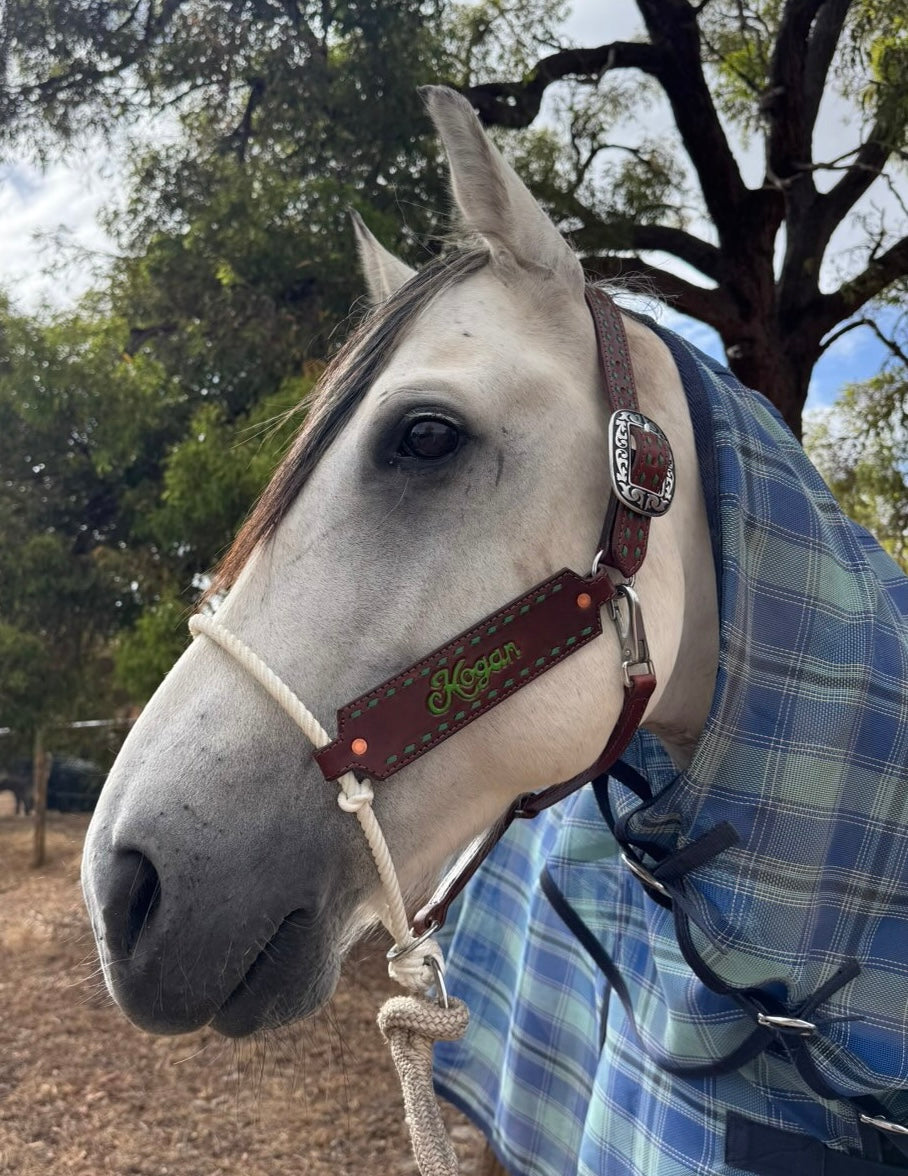 Custom Hybrid Halter