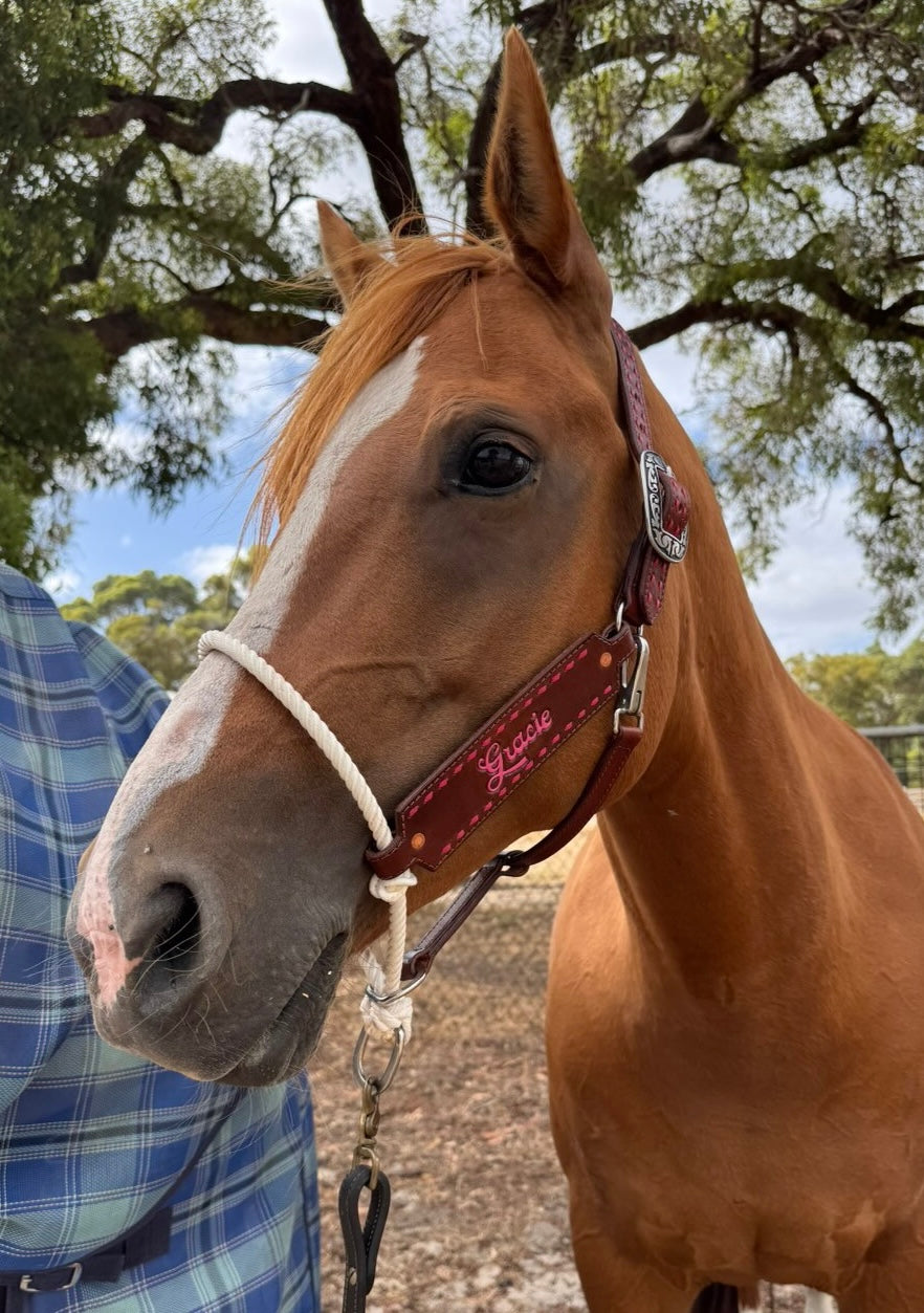 Custom Hybrid Halter